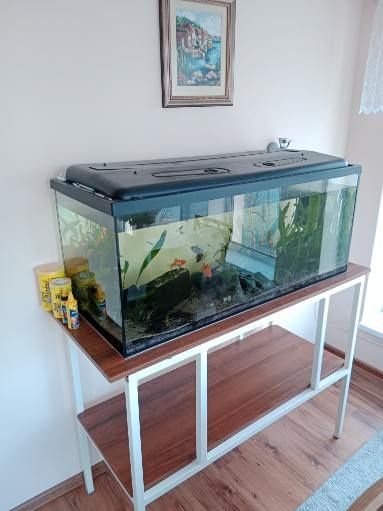 Akwarium z rybkami zestaw