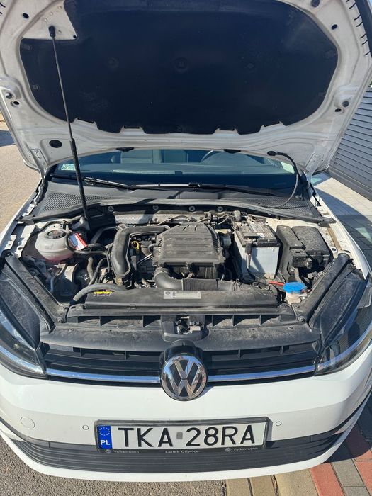 Volkswagen Golf Pierwszy właściciel, stan idealny