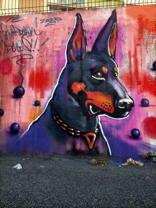 Pintura paredes Interiores exteriores