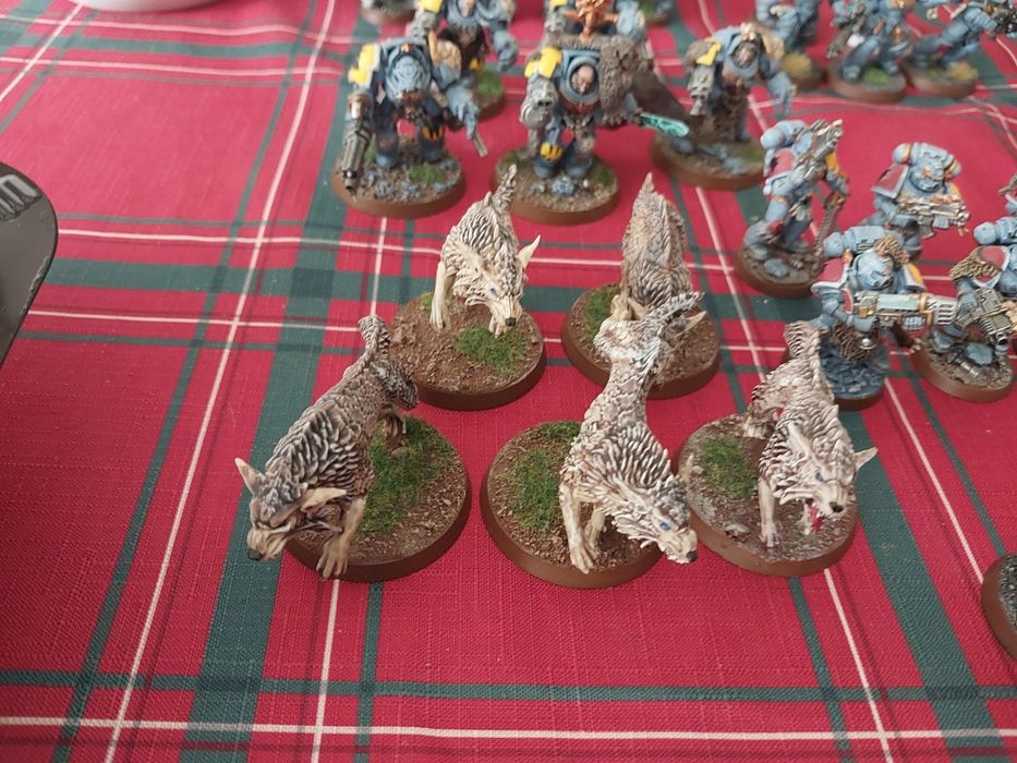Space Wolves army warhammer 4000