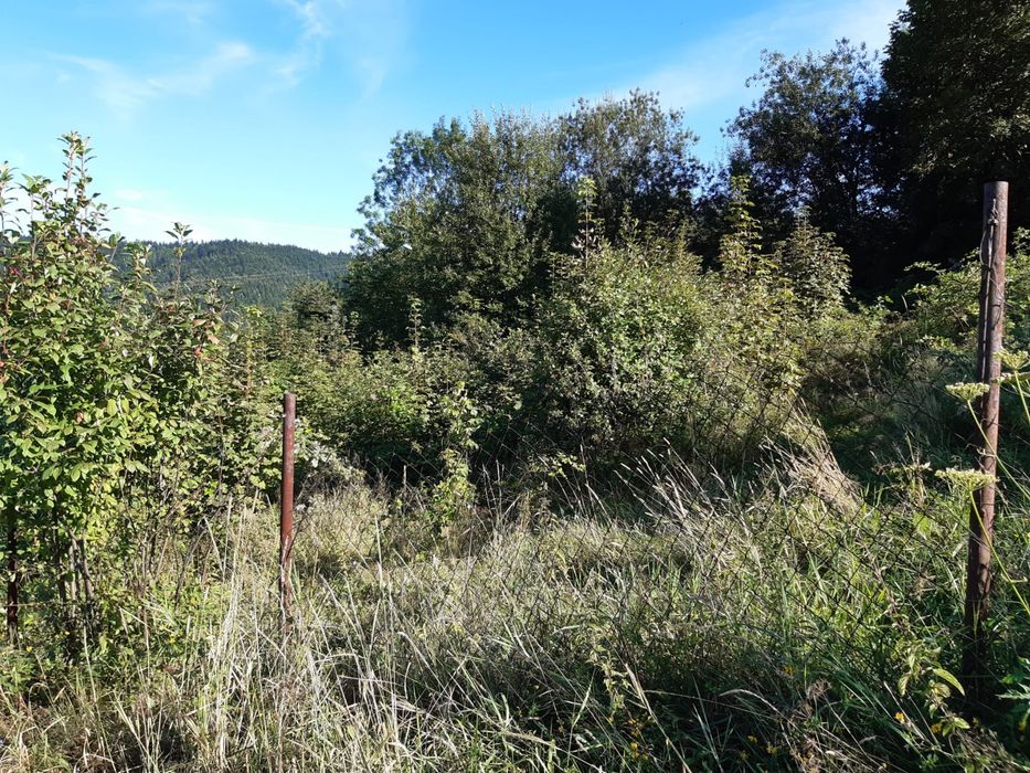 Dzialka w slemieniu