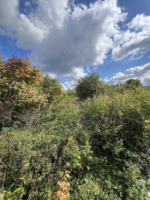 ПРОДАЖ! Земельна ділянка 6 соток ( 1 500 $/сотка) Львів, Рясне-Руське