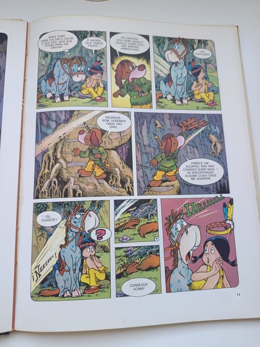 Dany bub - O tesouro dos indios (1983)