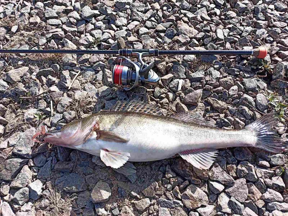 Cпінінговe вудлище Azura X-Game X94ML 2.85 м 4-22г.