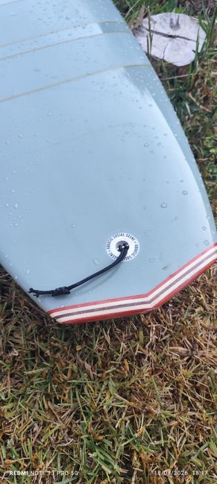 Prancha Aqss  whale bronze nova