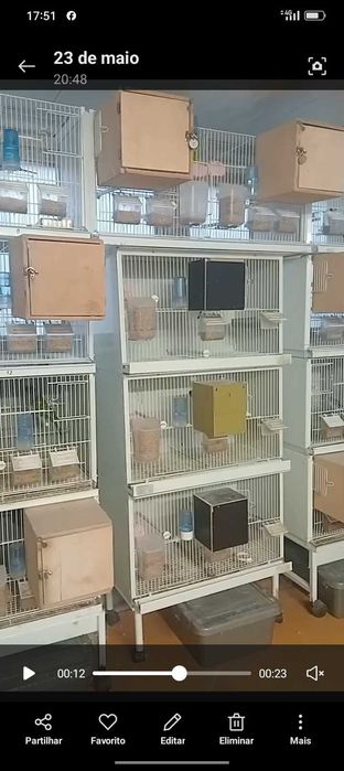 Viveiros orniex em chapa lacada