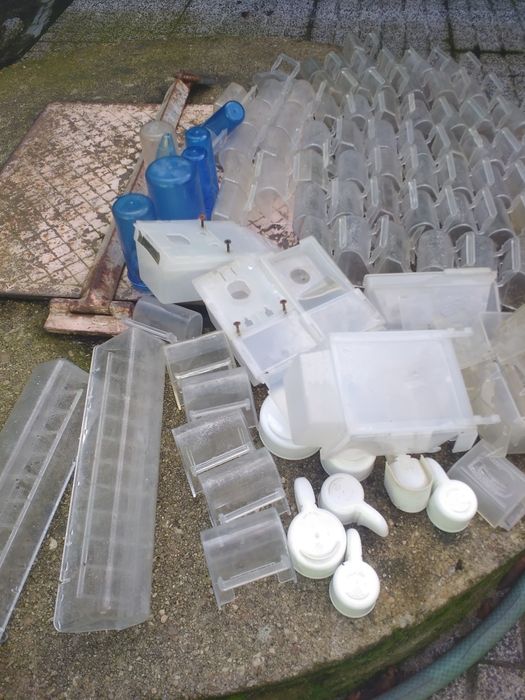 Viveiros pra criação