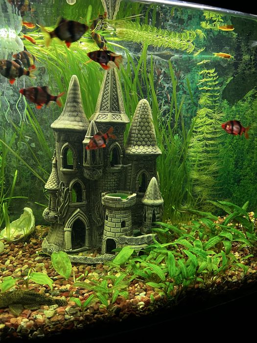 Акваріум 200л  з чудовими рибками та годівницею