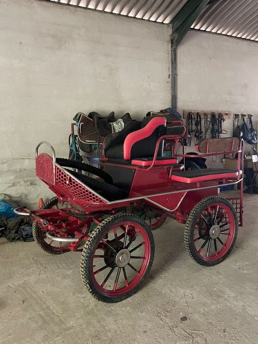 Maratona para cavalo