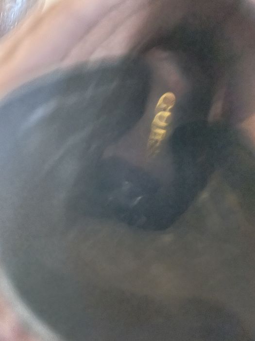 Botins Guess originais