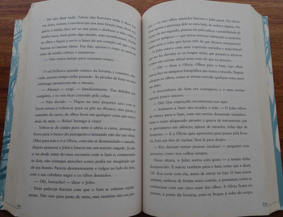 Shiver Um Amor Impossível de Maggie Stiefvater