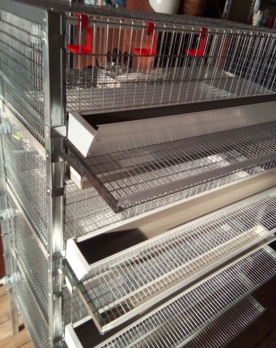 Клвтки для перепелів (Оплата частинаии)