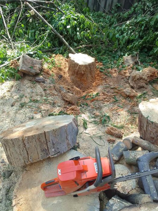 Видалення аварійних дерев. Є послуги автовишки..Є послуги ЩЕПОРІЗА