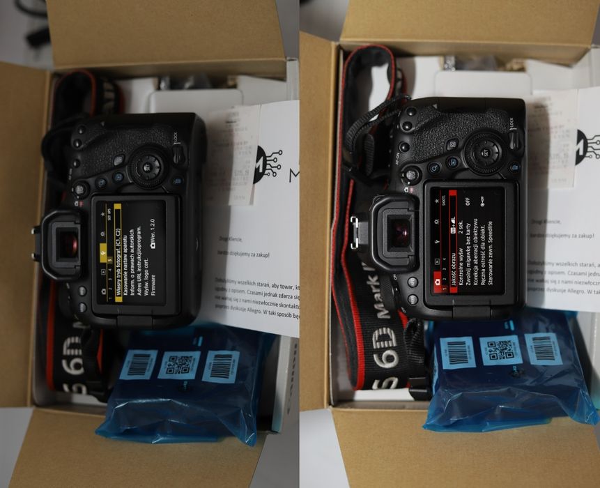 Canon 6Dmkii zadbany