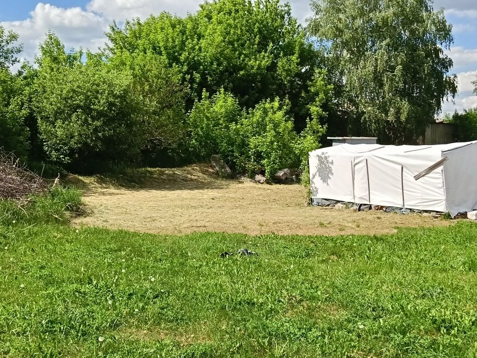 Безкоштовно, трава для сіна
