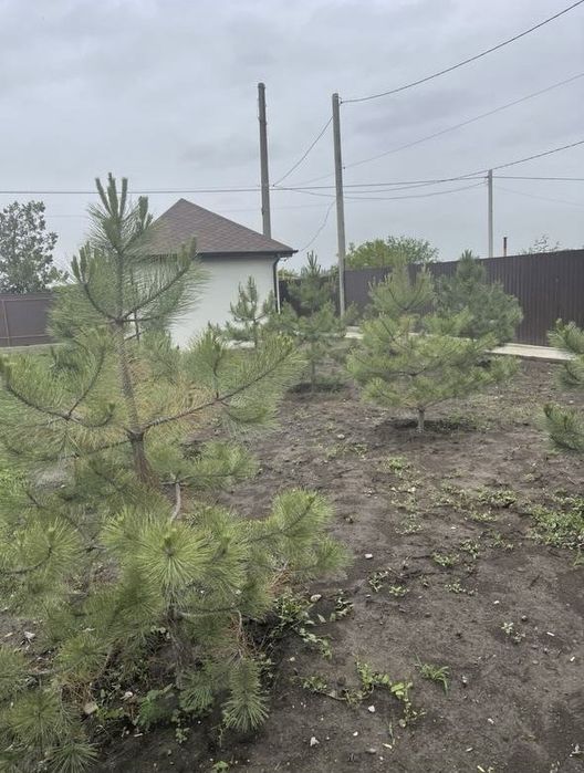 Срочная продажа дома Лиманськ, Олександрівка 13