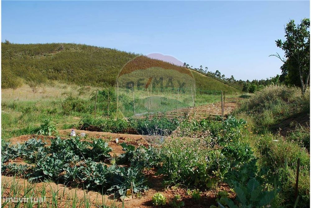 Fantático Terreno com viabilidade de construção