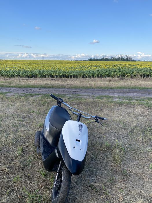 Suzuki lets 2 old