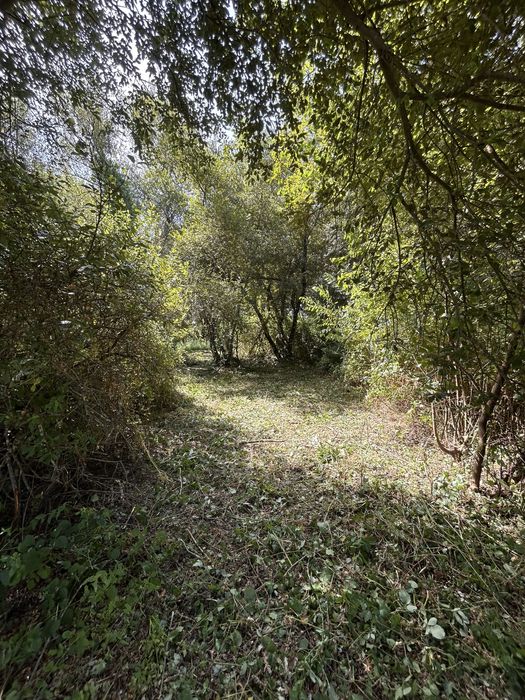 Manutenção de espaços verdes, jardinagem e limpeza de terrenos