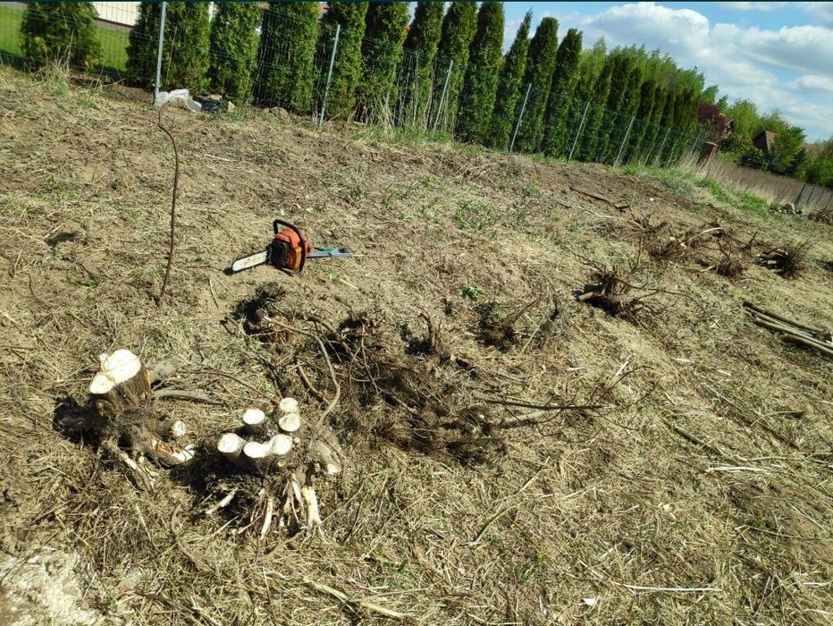 Usługi rębakiem, wycinka, rozdrabnianie drzew gałęzi, wynajem rębaka