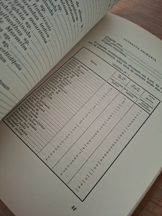 As Florestas de Timor por Ruy Cinatti