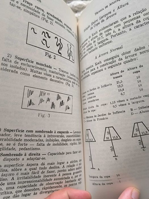 O Teste do Desenho como Instrumento de Diagnóstico
Validade aplicação