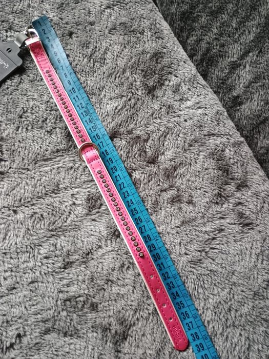 Obroża dla psa Hunter