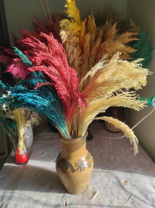 Сухоцвіти Льон.  Сухоцветы Просо кермек врсянка