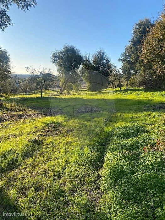Terreno  para venda — Abrantes (São Vicente E São João) E Alferrarede, Santarém