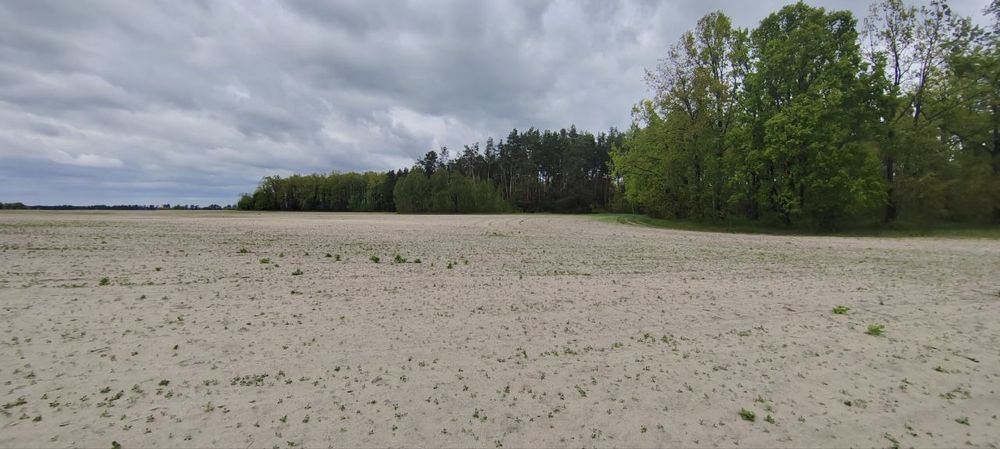 Земельна ділянка 27 га! Андріївка.