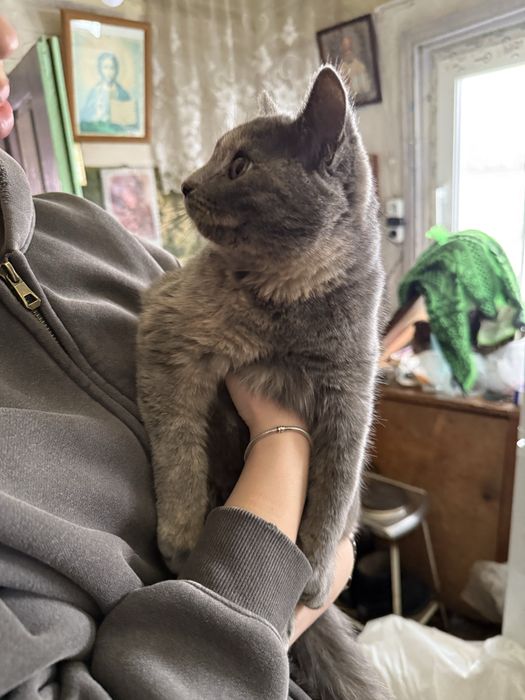 Віддам в хороші руки