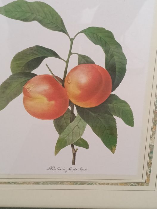 Beautiful decorative frames64740754080130122