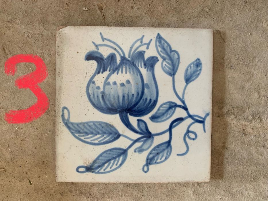 Azulejos viuva lamego novos