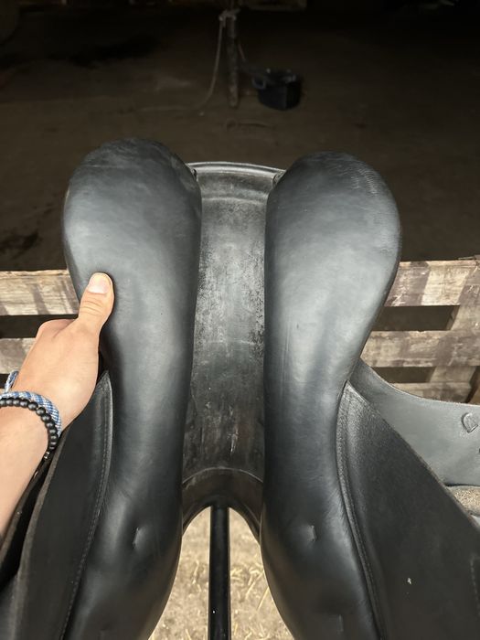 Prestige sydney 32/17