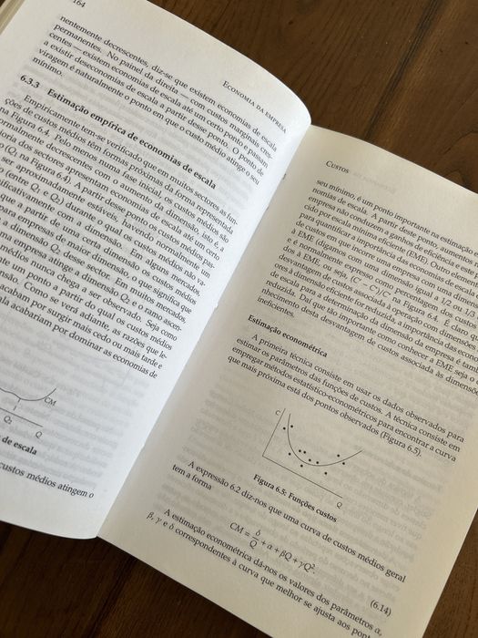 Economia da Empresa - edição revista e aumentada - Jose Mata