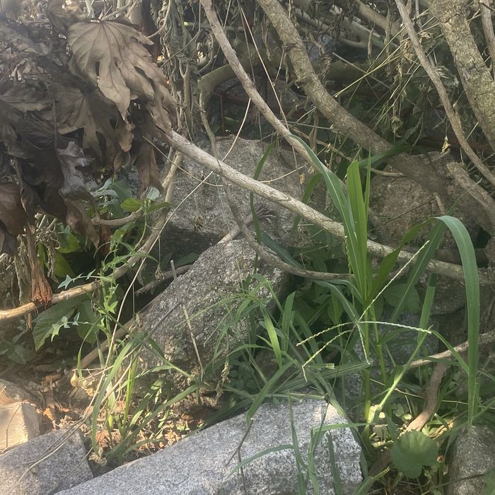 Pedra rustica ideal para muro