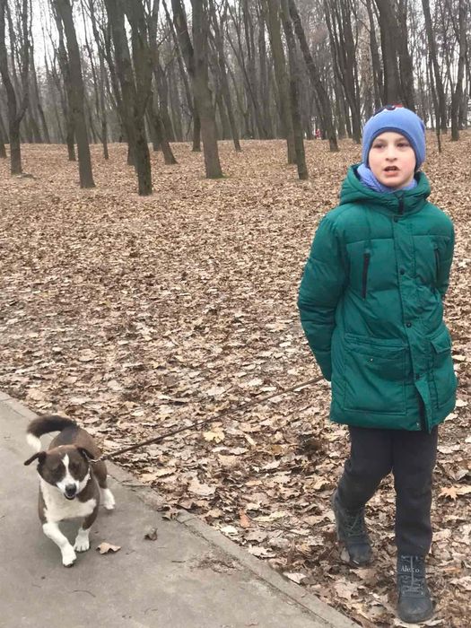 Загубилась собака