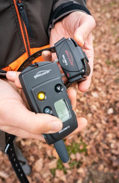 Coleira + Telecomando de Adestramento para Cão Canicom 300 (Conjunto)