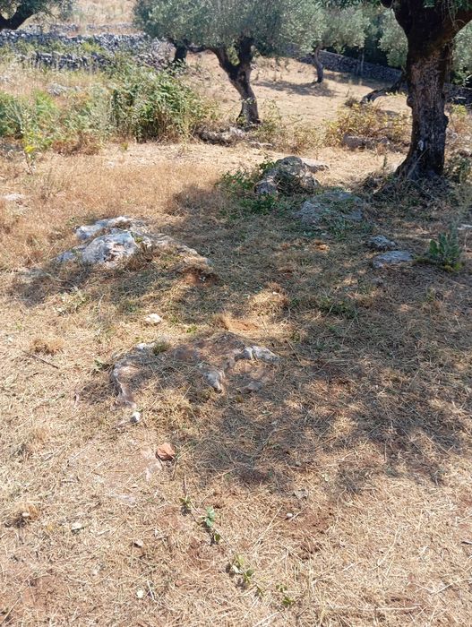 Limpeza de terrenos