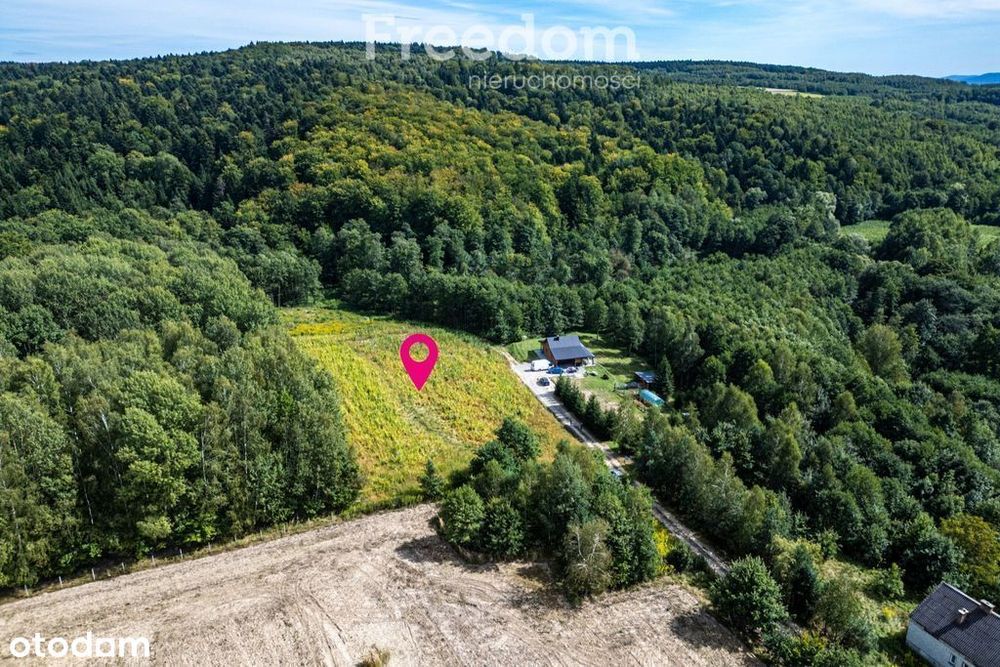 Widokowa działka 1,09 ha pod lasem – Nawsie, cisza - Więcej