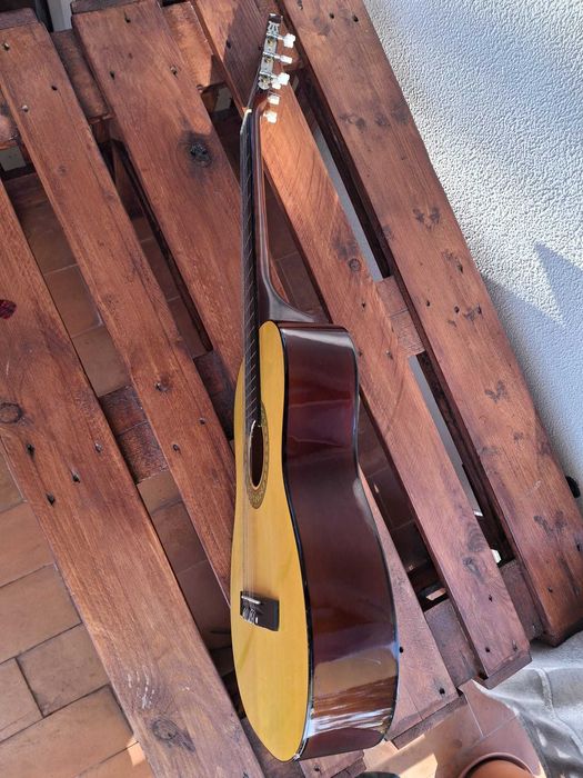 Viola com capa e palheta