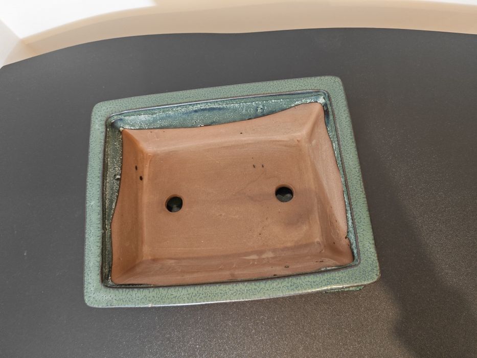 Vaso para bonsai em verde