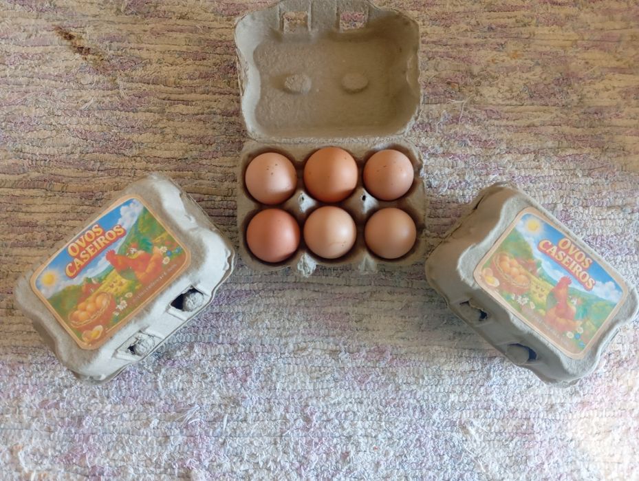 Ovos caseiros para consumo