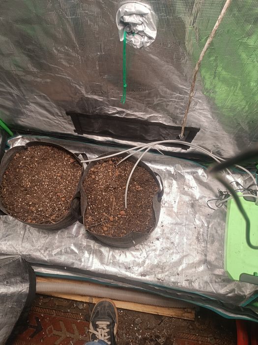 Vendo estufa completa 
Ainda tenho a caixa .
Com lâmpada d