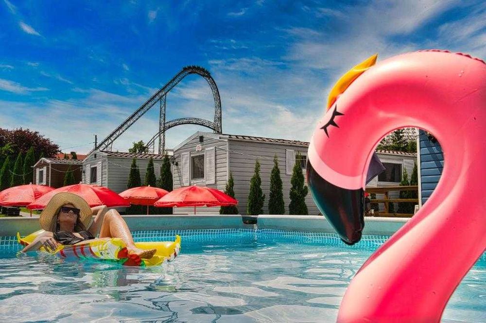 Nocleg z widokiem na rollercoastery - tylko 100m od Energylandii