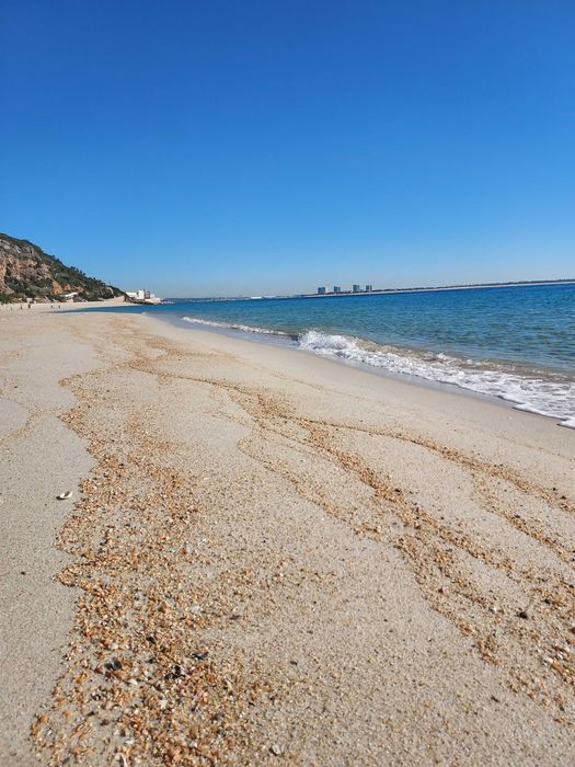 Orao 500 4 Lines Papagaio