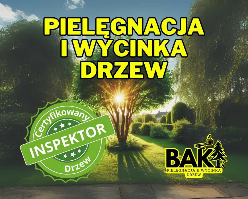 Oczyszczanie działek i wycinka drzew – Żyrardów