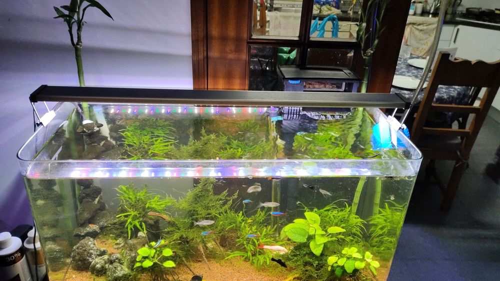 Aquário  completo 120l