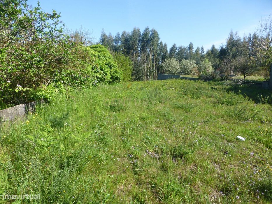 Terreno para construção com 900 m2 no Alto da Bandeira- Aves