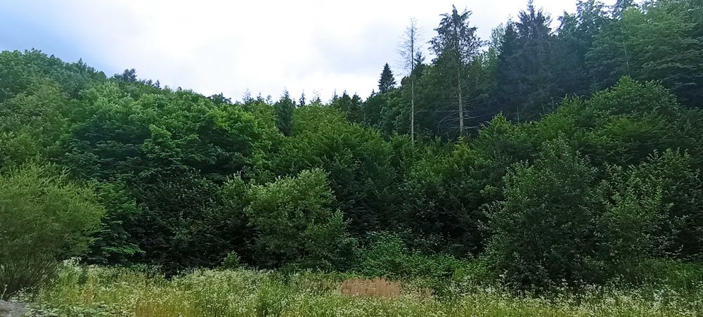 Продаємо сучасний будинок курорт Поляна